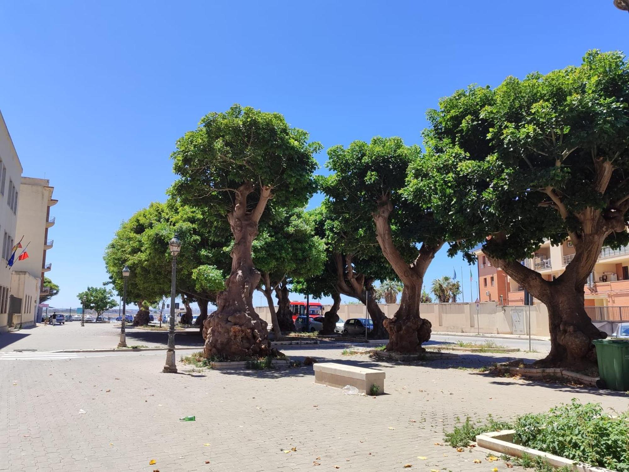Alla Marina Da Pina Trapani Exterior foto
